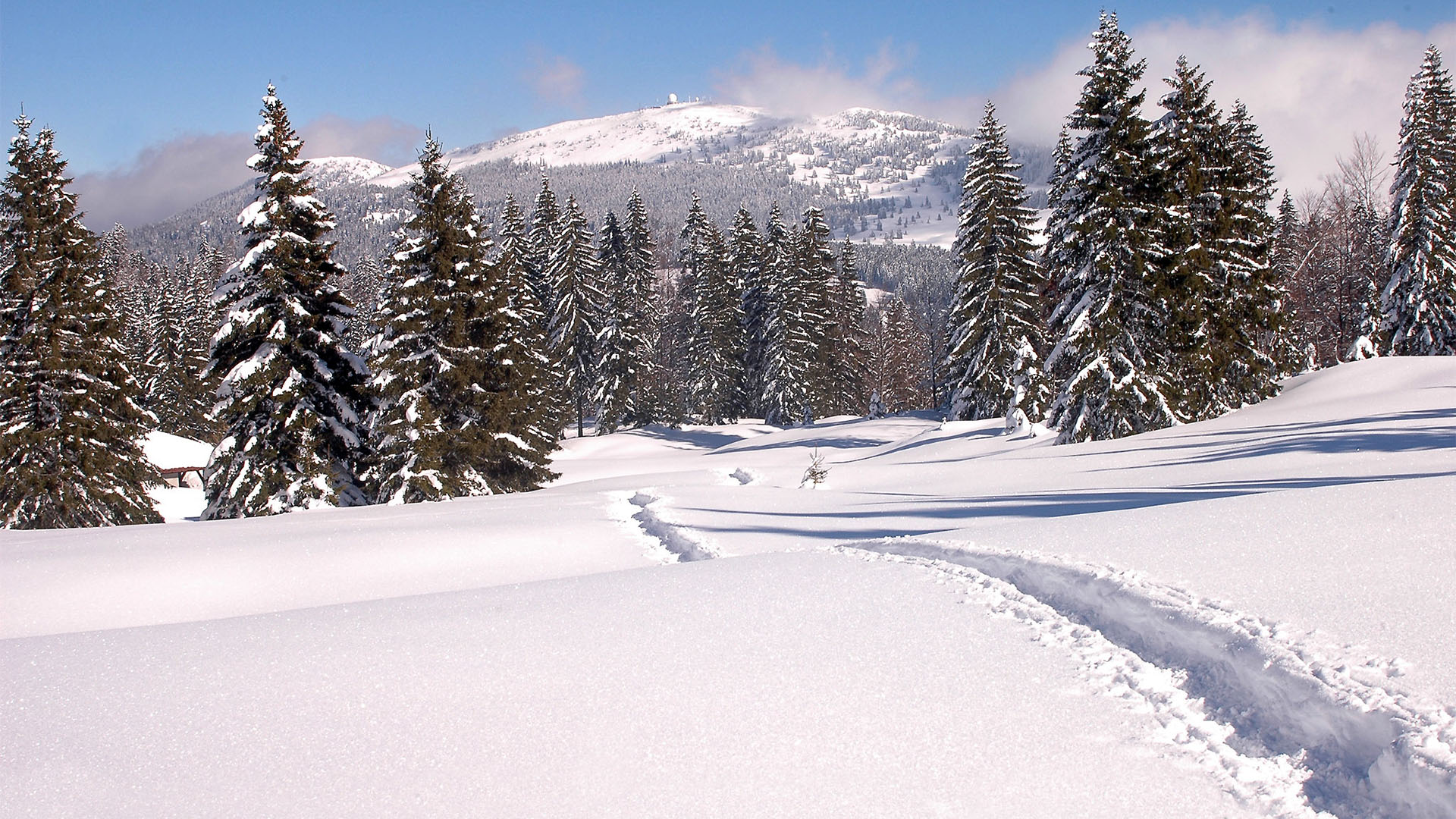 Haut-Jura sous la neige