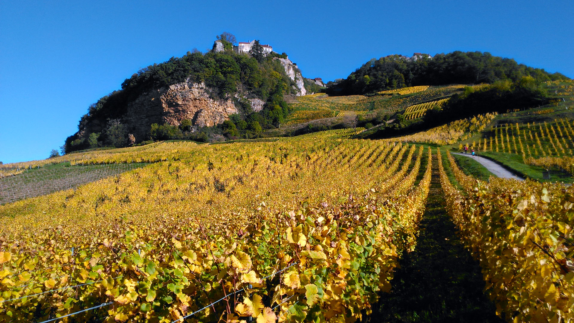 Vignoble de Chateau-chalon